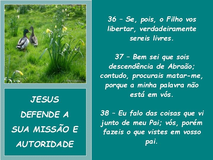 36 – Se, pois, o Filho vos libertar, verdadeiramente sereis livres. JESUS DEFENDE A