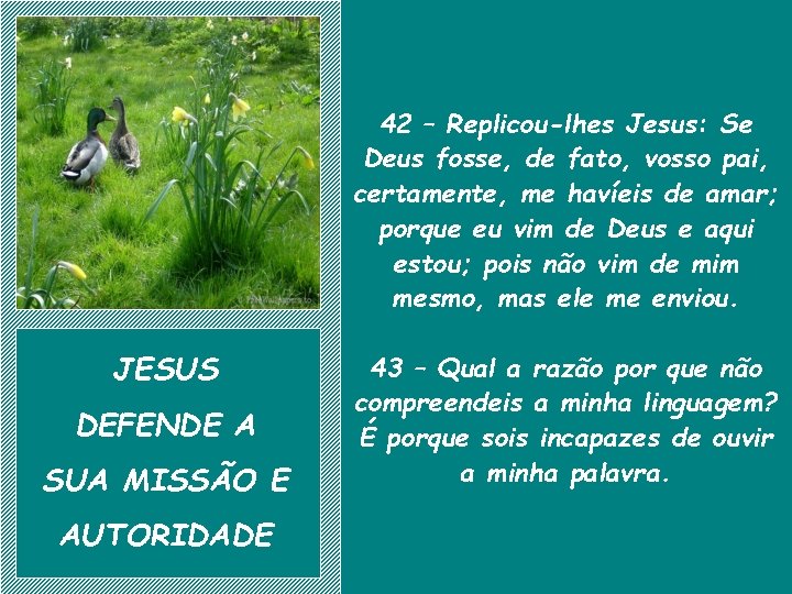 42 – Replicou-lhes Jesus: Se Deus fosse, de fato, vosso pai, certamente, me havíeis