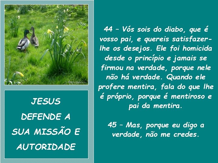 JESUS DEFENDE A SUA MISSÃO E AUTORIDADE 44 – Vós sois do diabo, que