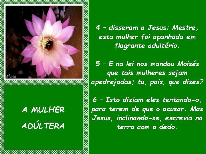 4 – disseram a Jesus: Mestre, esta mulher foi apanhada em flagrante adultério. 5