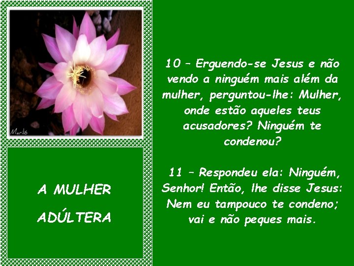 10 – Erguendo-se Jesus e não vendo a ninguém mais além da mulher, perguntou-lhe: