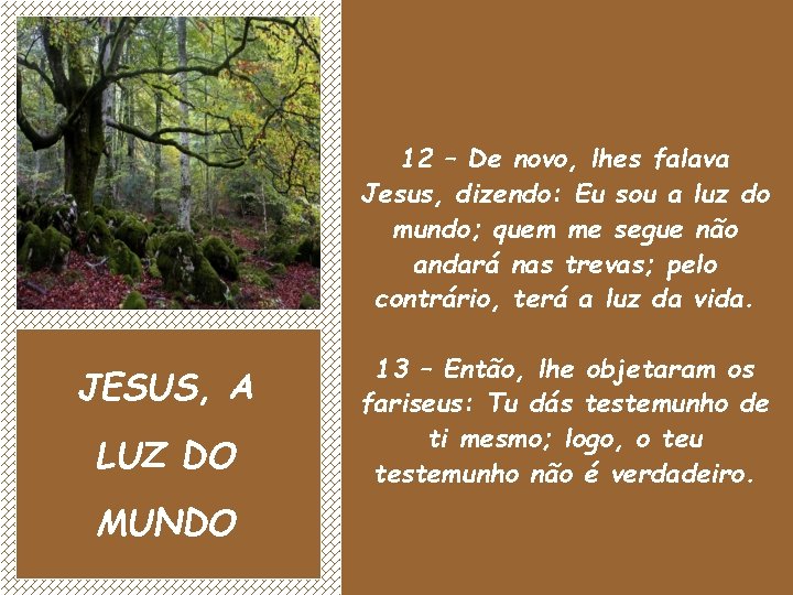 12 – De novo, lhes falava Jesus, dizendo: Eu sou a luz do mundo;