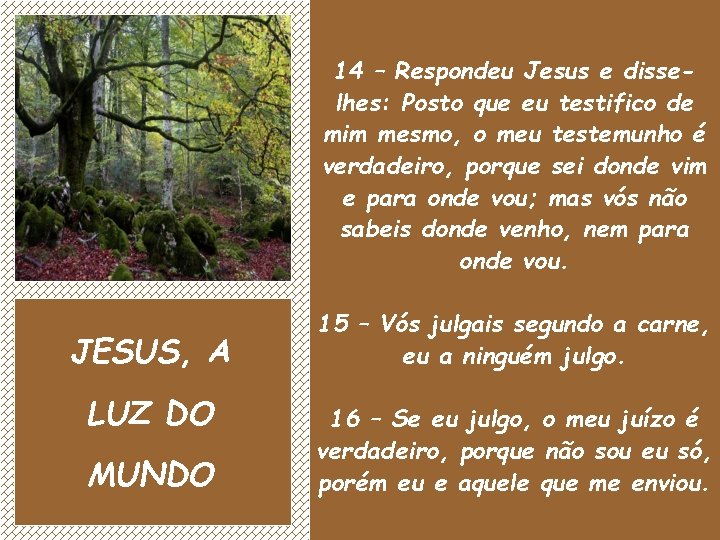 14 – Respondeu Jesus e disselhes: Posto que eu testifico de mim mesmo, o