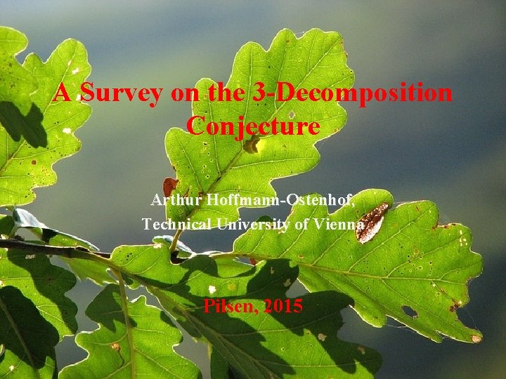 A Survey on the 3 -Decomposition Conjecture Arthur Hoffmann-Ostenhof, Technical University of Vienna Pilsen,