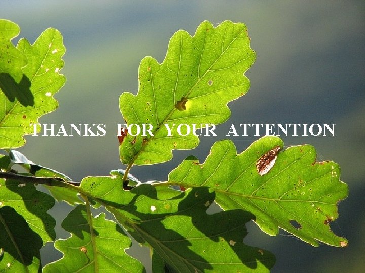 THANKS FOR YOUR ATTENTION 