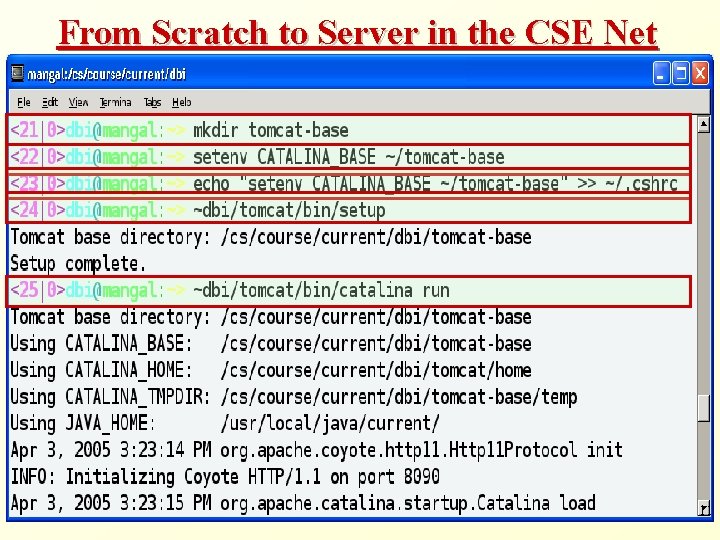 From Scratch to Server in the CSE Net 11 