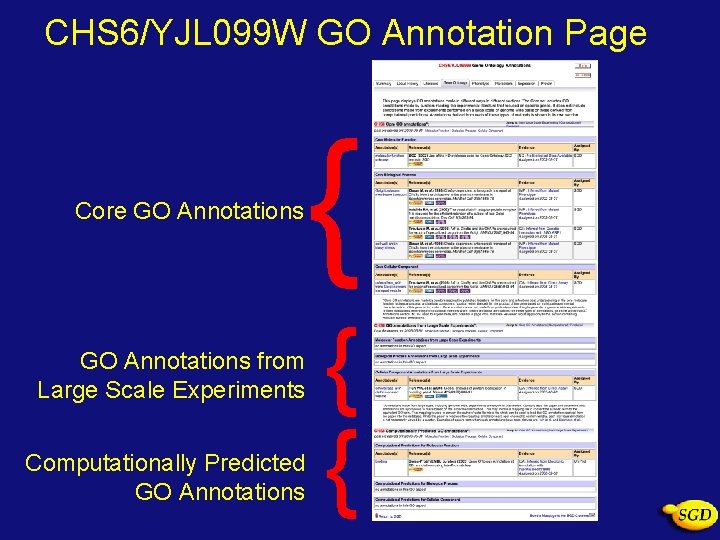 CHS 6/YJL 099 W GO Annotation Page Core GO Annotations from Large Scale Experiments
