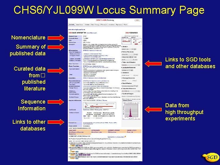 CHS 6/YJL 099 W Locus Summary Page Nomenclature Summary of published data Curated data