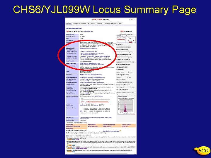 CHS 6/YJL 099 W Locus Summary Page 
