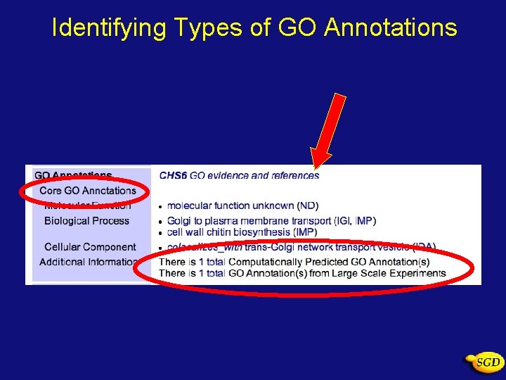 Identifying Types of GO Annotations 