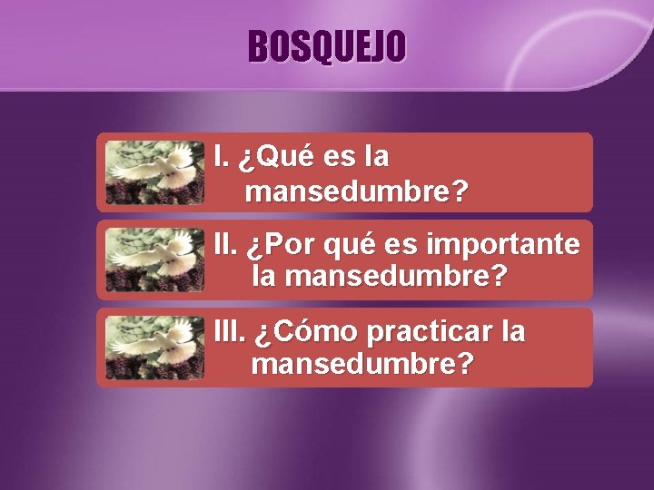 BOSQUEJO I. ¿Qué es la mansedumbre? II. ¿Por qué es importante la mansedumbre? III.