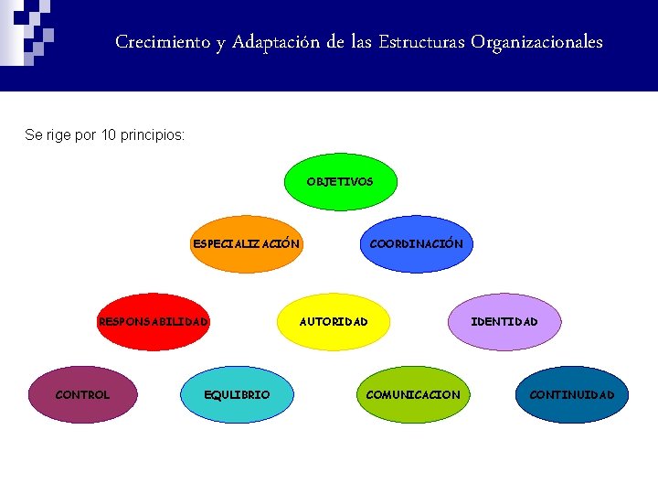 Crecimiento y Adaptación de las Estructuras Organizacionales Se rige por 10 principios: OBJETIVOS COORDINACIÓN