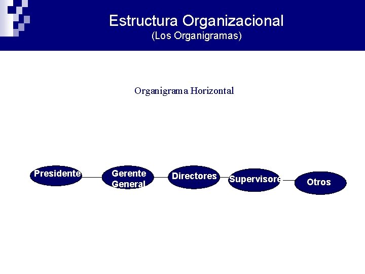 Estructura Organizacional (Los Organigramas) Organigrama Horizontal Presidente Gerente General Directores Supervisores Otros 