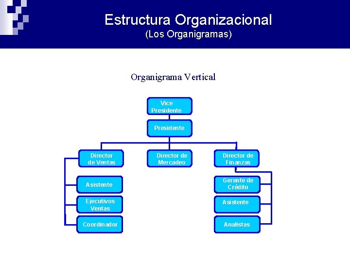 Estructura Organizacional (Los Organigramas) Organigrama Vertical Vice Presidente Director de Ventas Director de Mercadeo