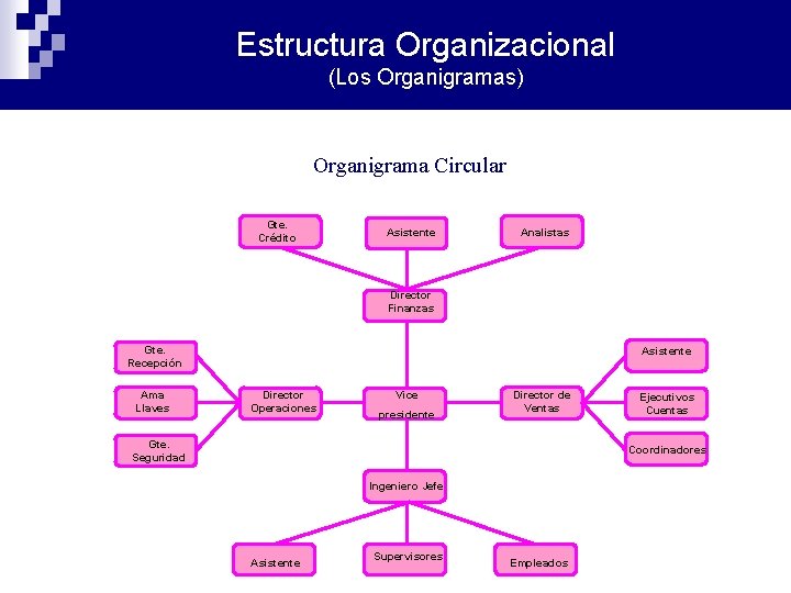 Estructura Organizacional (Los Organigramas) Organigrama Circular Gte. Crédito Asistente Analistas Director Finanzas Gte. Recepción