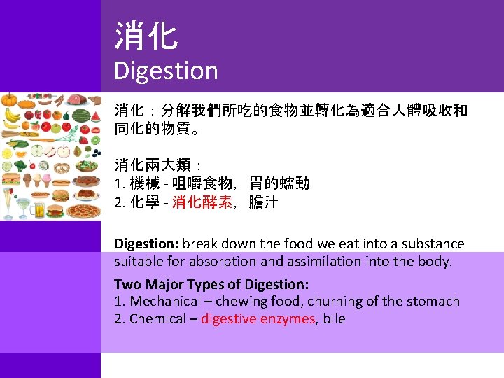 消化 Digestion 消化：分解我們所吃的食物並轉化為適合人體吸收和 同化的物質。 消化兩大類： 1. 機械 - 咀嚼食物，胃的蠕動 2. 化學 - 消化酵素，膽汁 Digestion: