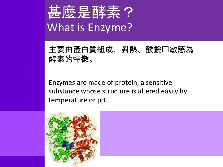甚麼是酵素？ What is Enzyme? 主要由蛋白質組成，對熱、酸鹼�敏感為 酵素的特徵。 Enzymes are made of protein, a sensitive substance