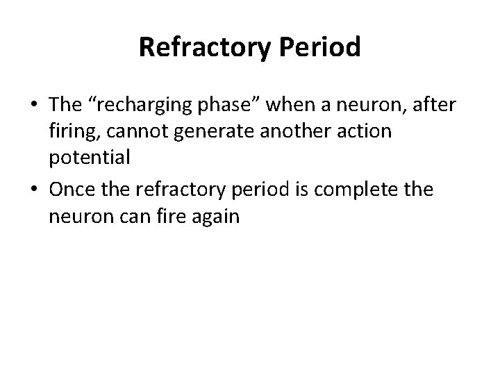 Refractory Period • The “recharging phase” when a neuron, after firing, cannot generate another