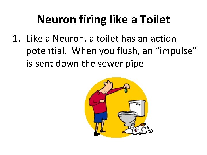 Neuron firing like a Toilet 1. Like a Neuron, a toilet has an action