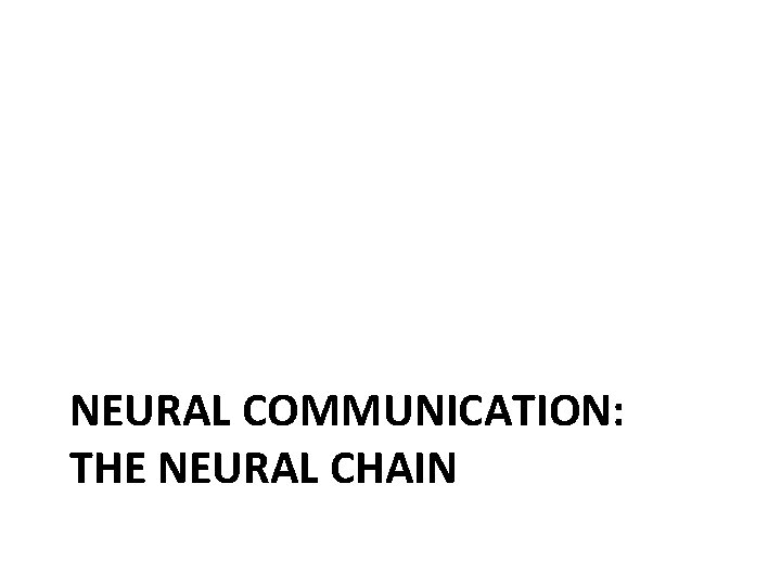 NEURAL COMMUNICATION: THE NEURAL CHAIN 