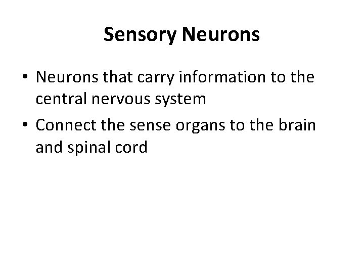 Sensory Neurons • Neurons that carry information to the central nervous system • Connect