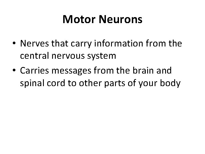Motor Neurons • Nerves that carry information from the central nervous system • Carries
