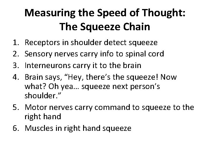 Measuring the Speed of Thought: The Squeeze Chain 1. 2. 3. 4. Receptors in