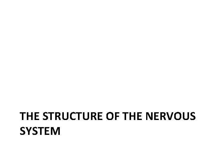 THE STRUCTURE OF THE NERVOUS SYSTEM 