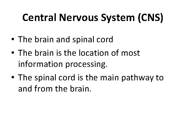 Central Nervous System (CNS) • The brain and spinal cord • The brain is