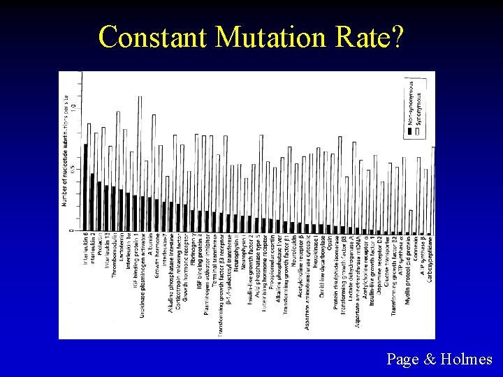 Constant Mutation Rate? Page & Holmes 