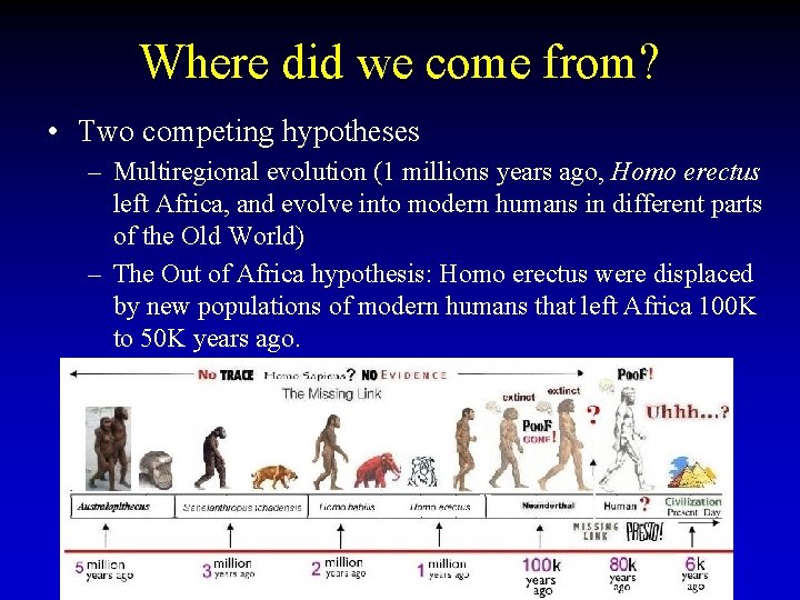 Where did we come from? • Two competing hypotheses – Multiregional evolution (1 millions