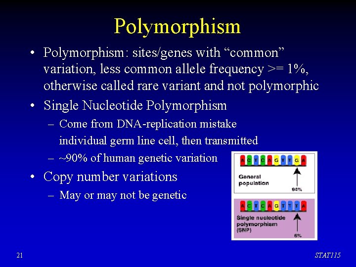 Polymorphism • Polymorphism: sites/genes with “common” variation, less common allele frequency >= 1%, otherwise