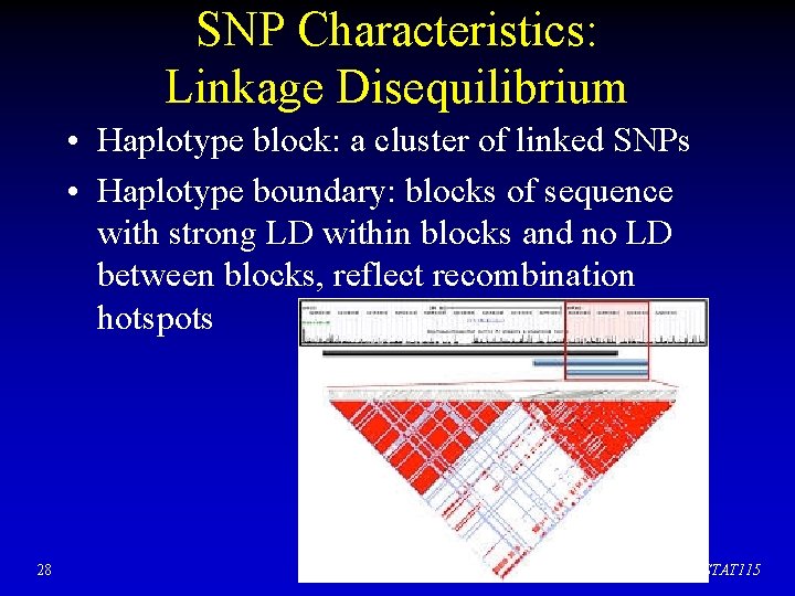 SNP Characteristics: Linkage Disequilibrium • Haplotype block: a cluster of linked SNPs • Haplotype