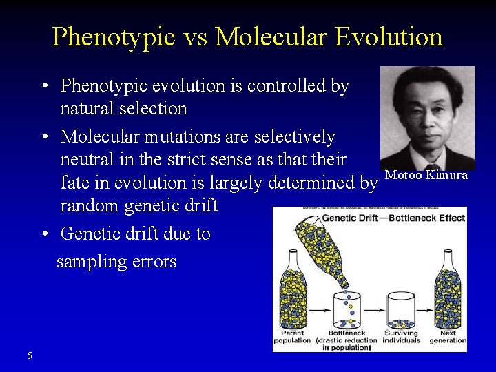 Phenotypic vs Molecular Evolution • Phenotypic evolution is controlled by natural selection • Molecular