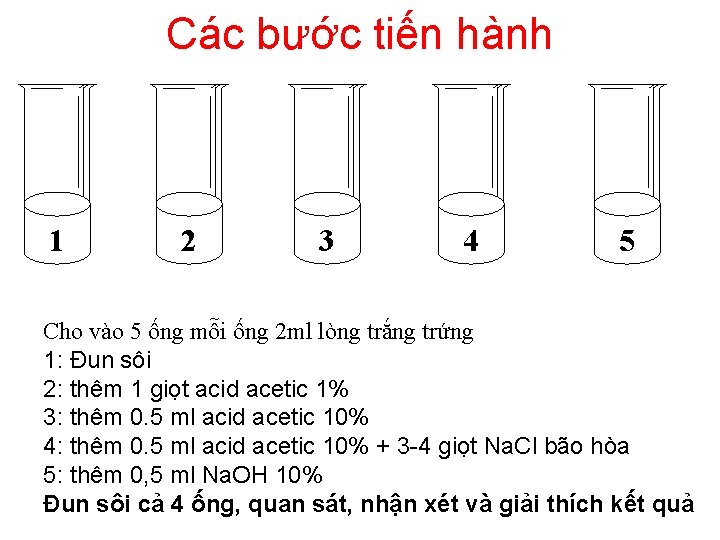 Các bước tiến hành 1 2 3 4 5 Cho vào 5 ống mỗi