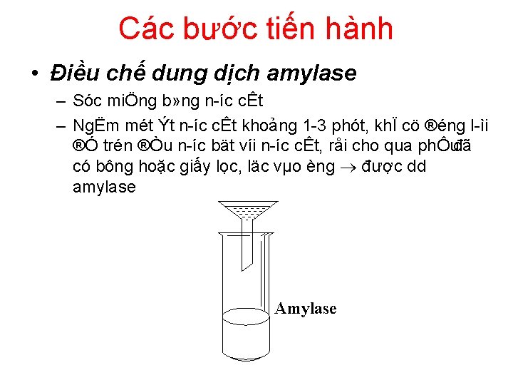 Các bước tiến hành • Điều chế dung dịch amylase – Sóc miÖng b»