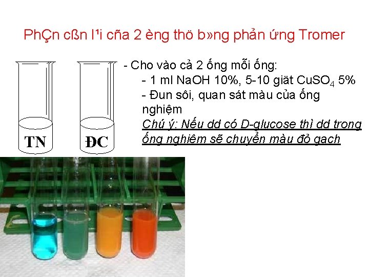 PhÇn cßn l¹i cña 2 èng thö b» ng phản ứng Tromer TN ĐC