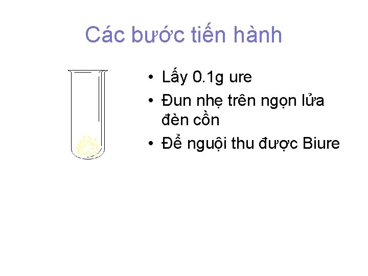 Các bước tiến hành • Lấy 0. 1 g ure • Đun nhẹ trên