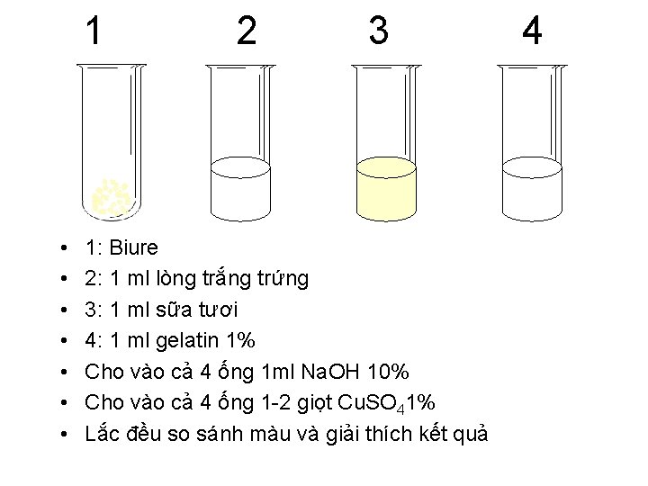  1 2 3 4 • • 1: Biure 2: 1 ml lòng trắng