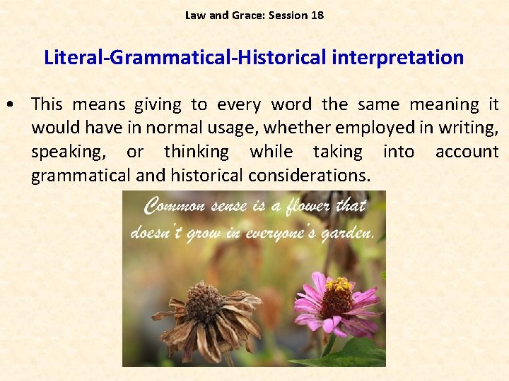 Law and Grace: Session 18 Literal Grammatical Historical interpretation • This means giving to