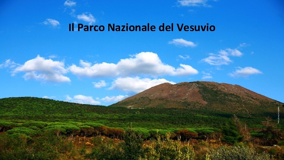 Il Parco Nazionale del Vesuvio 