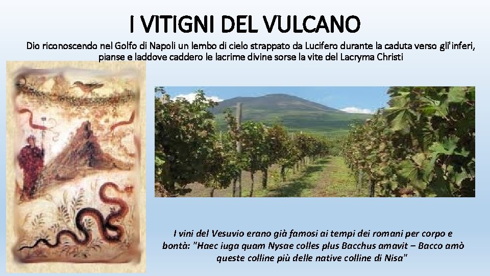 I VITIGNI DEL VULCANO Dio riconoscendo nel Golfo di Napoli un lembo di cielo