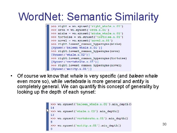 Word. Net: Semantic Similarity • Of course we know that whale is very specific Word. Net: Semantic Similarity • Of course we know that whale is very specific