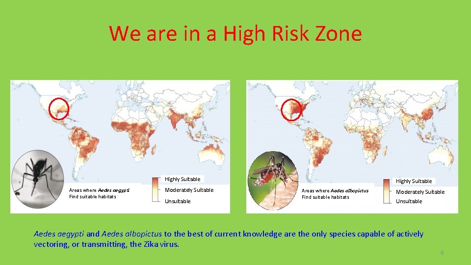 We are in a High Risk Zone Highly Suitable Areas where Aedes aegypti Find We are in a High Risk Zone Highly Suitable Areas where Aedes aegypti Find