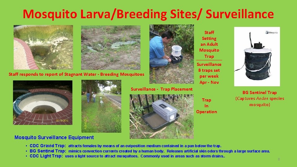 Mosquito Larva/Breeding Sites/ Surveillance Staff Setting an Adult Mosquito Trap Staff responds to report Mosquito Larva/Breeding Sites/ Surveillance Staff Setting an Adult Mosquito Trap Staff responds to report