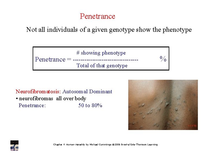 Penetrance Not all individuals of a given genotype show the phenotype Penetrance = #