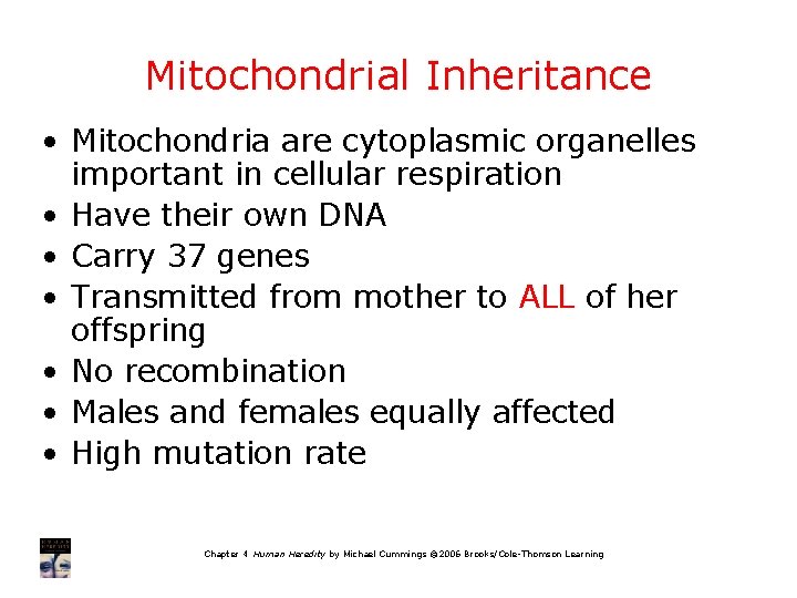 Mitochondrial Inheritance • Mitochondria are cytoplasmic organelles important in cellular respiration • Have their