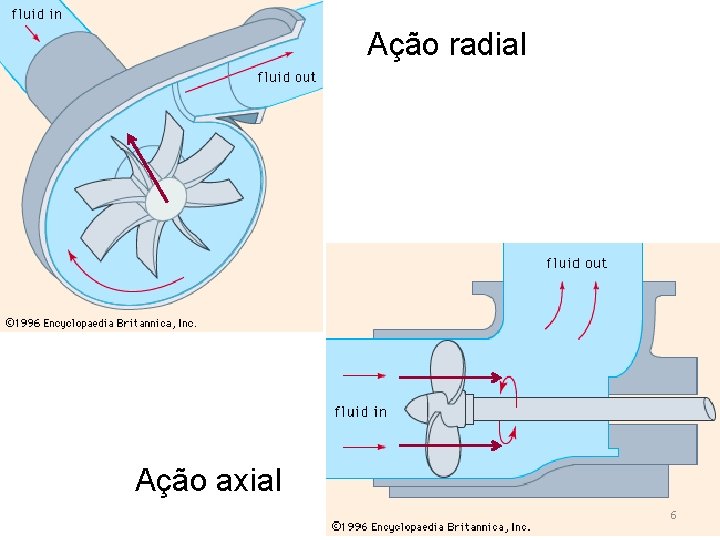 Ação radial Ação axial 6 