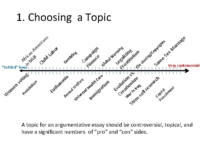 1. Choosing a Topic s n ir ca e m -A or n g