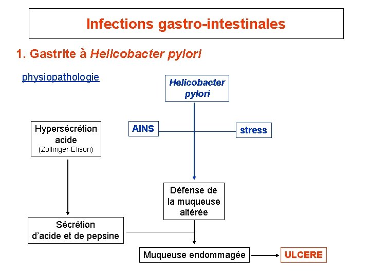 Infections gastro-intestinales 1. Gastrite à Helicobacter pylori physiopathologie Hypersécrétion acide Helicobacter pylori AINS stress